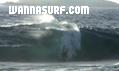 photo de surf