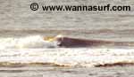 photo de surf