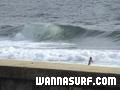 photo de surf