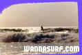 photo de surf