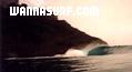 photo de surf