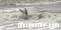 photo de surf