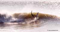 photo de surf