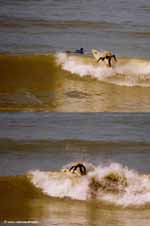 photo de surf