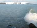 photo de surf