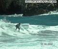 photo de surf