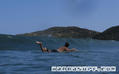 photo de surf