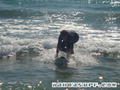 photo de surf