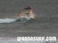 photo de surf