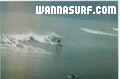 photo de surf