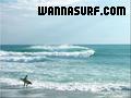 photo de surf