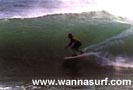 photo de surf