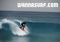 photo de surf