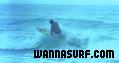 photo de surf