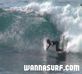photo de surf