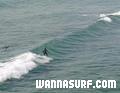 photo de surf