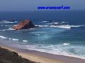 photo de surf