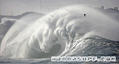 photo de surf
