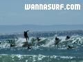 photo de surf