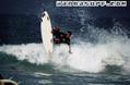 photo de surf