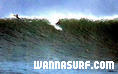 photo de surf