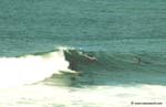 photo de surf