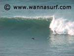 photo de surf