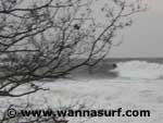 photo de surf