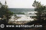photo de surf