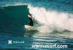 photo de surf