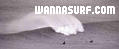 photo de surf