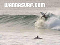 photo de surf
