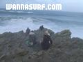 photo de surf