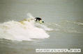 photo de surf
