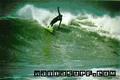 photo de surf