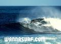 photo de surf
