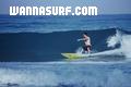 photo de surf