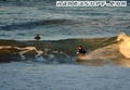 photo de surf