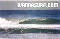 photo de surf
