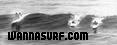 photo de surf