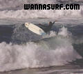 photo de surf