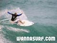 photo de surf