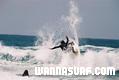 photo de surf