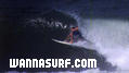 photo de surf