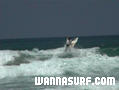 photo de surf