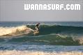 photo de surf