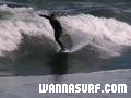 photo de surf