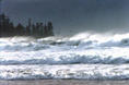 photo de surf