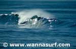 photo de surf
