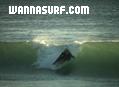 photo de surf